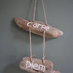Have A Stay! - Trendy Carpe Diem Met Eigen Tuin