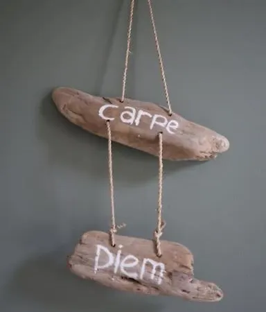 Trendy Carpe Diem Met Eigen Tuin